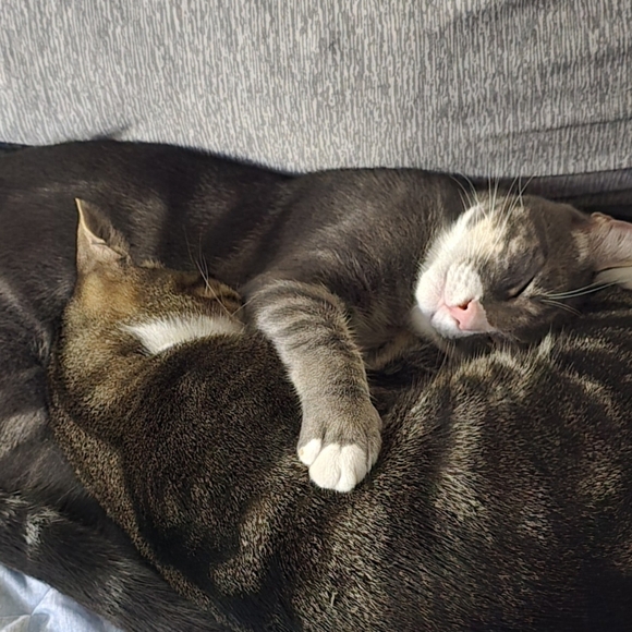 Meet your Posher - Picture 6 of 7